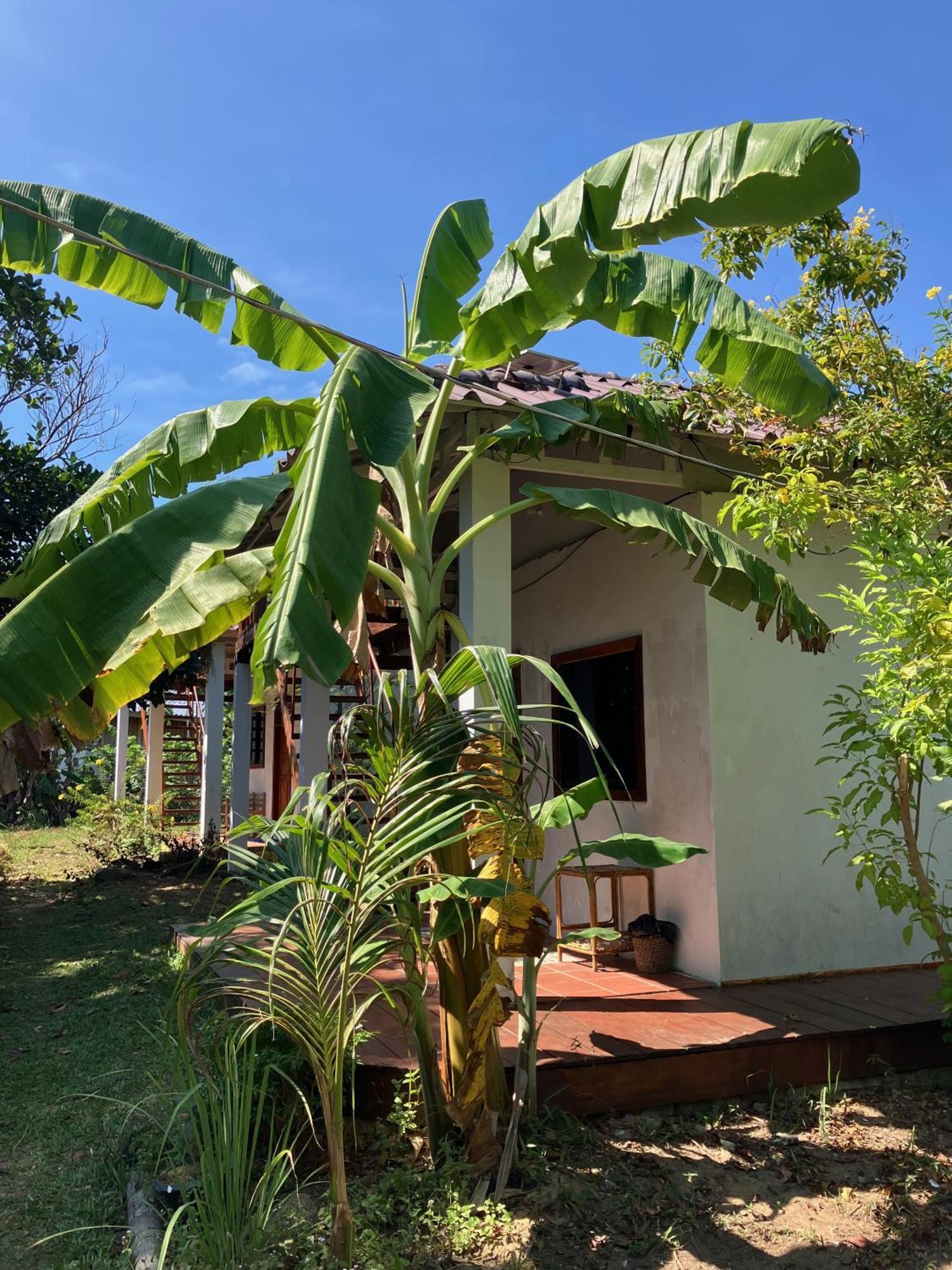 Easy Tiger Bungalows Koh Rong Sanloem Exterior foto
